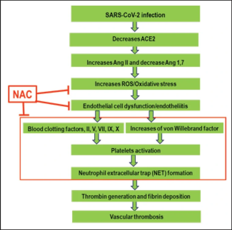 NAC mechanism